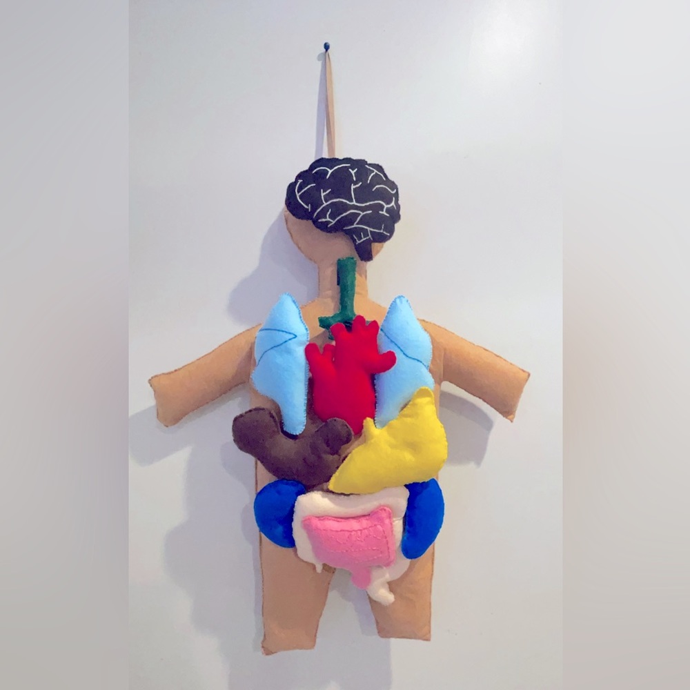 hand made Felt human body board anatomy For kindergarten school and homeschool.